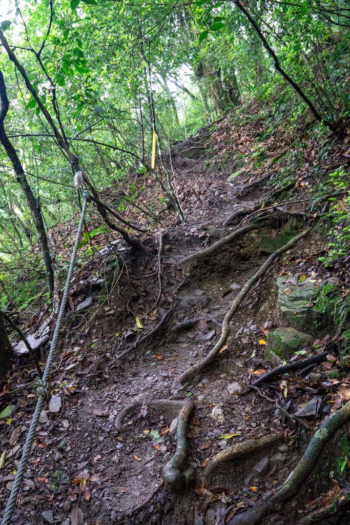 190524-0526 [百岳] 大霸群峰：大霸尖山、小霸尖