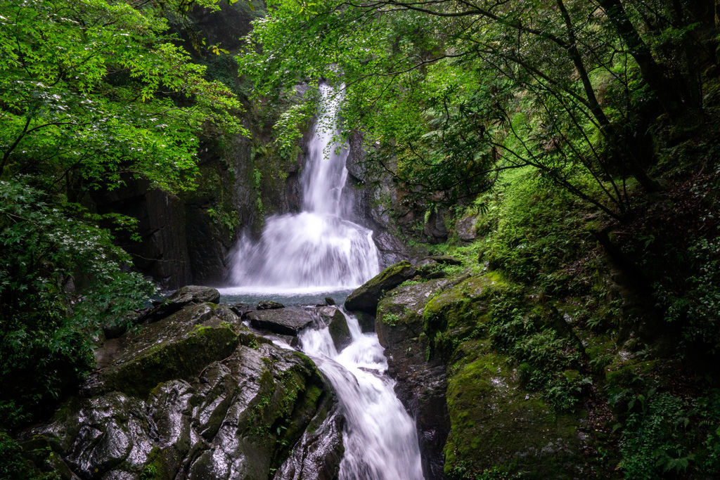 190524-0526 [百岳] 大霸群峰：大霸尖山、小霸尖