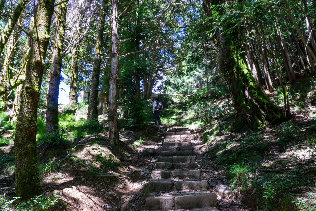 180728-0729 [百岳] 雪山主東下翠池+北稜角