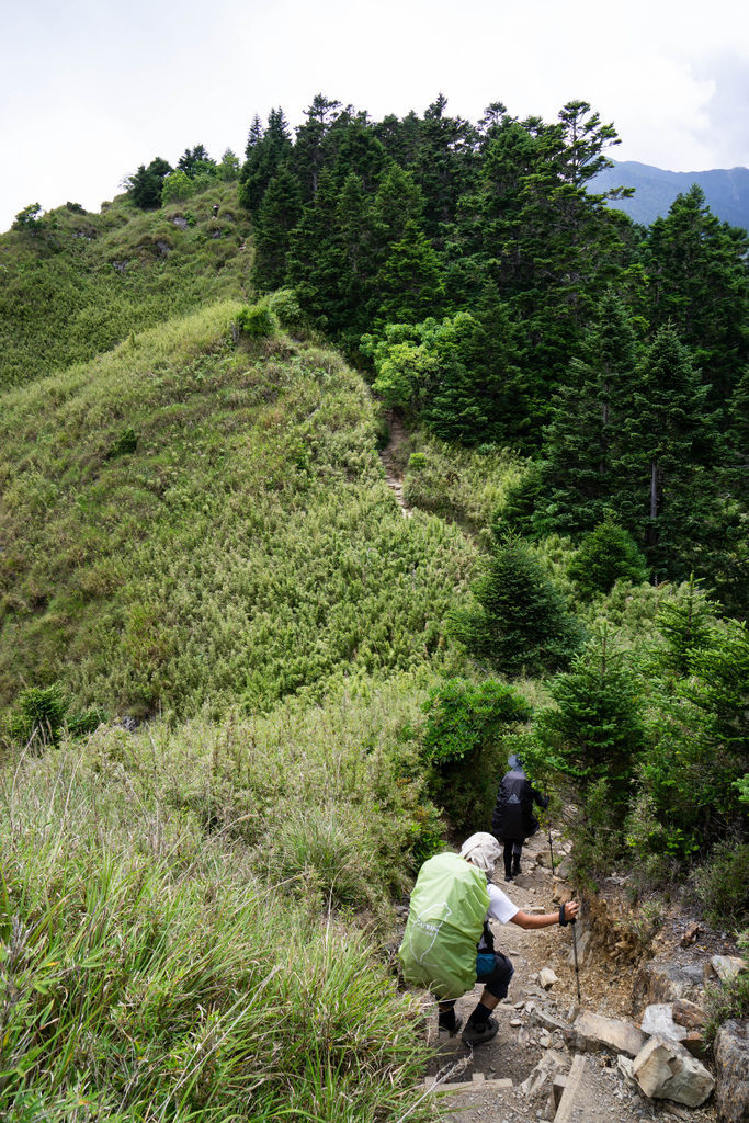 180728-0729 [百岳] 雪山主東下翠池+北稜角