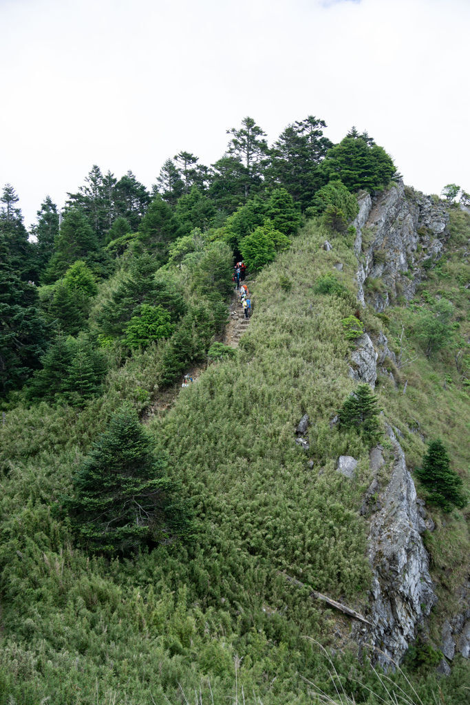 180728-0729 [百岳] 雪山主東下翠池+北稜角