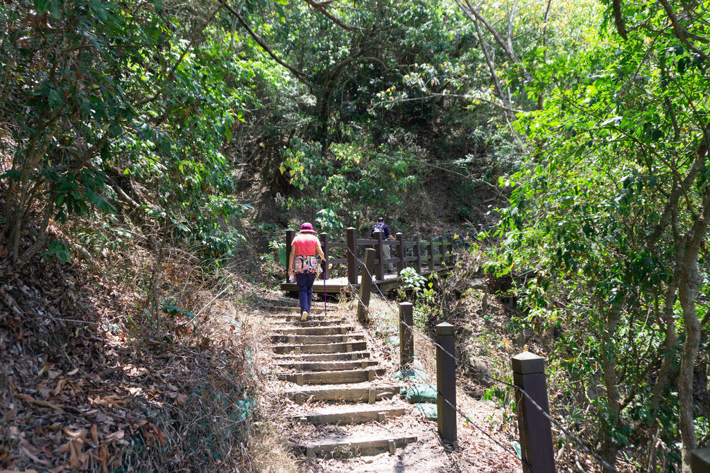 200510 [南化] 王爺崙山 (龍麟山)