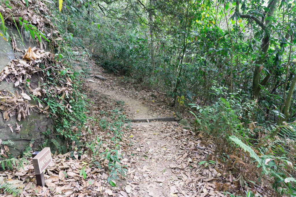 200510 [南化] 王爺崙山 (龍麟山)