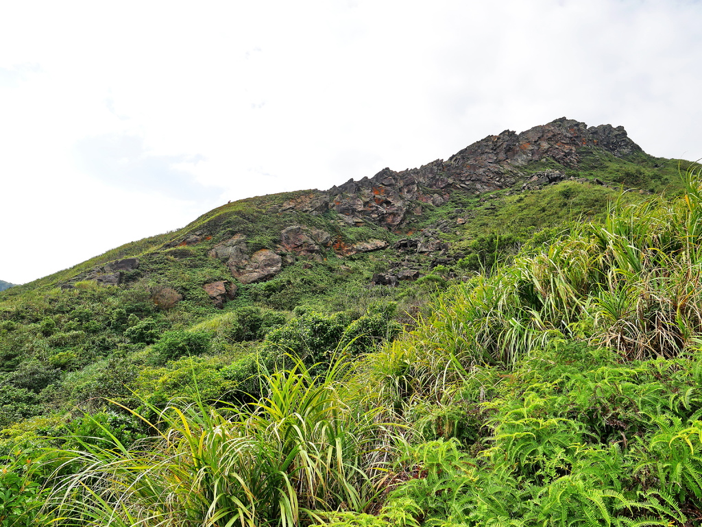 181006 [瑞芳] 劍龍稜、鋸齒稜、茶壺山稜、俯瞰稜O型