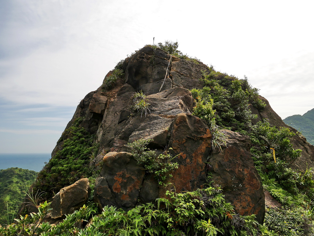 181006 [瑞芳] 劍龍稜、鋸齒稜、茶壺山稜、俯瞰稜O型