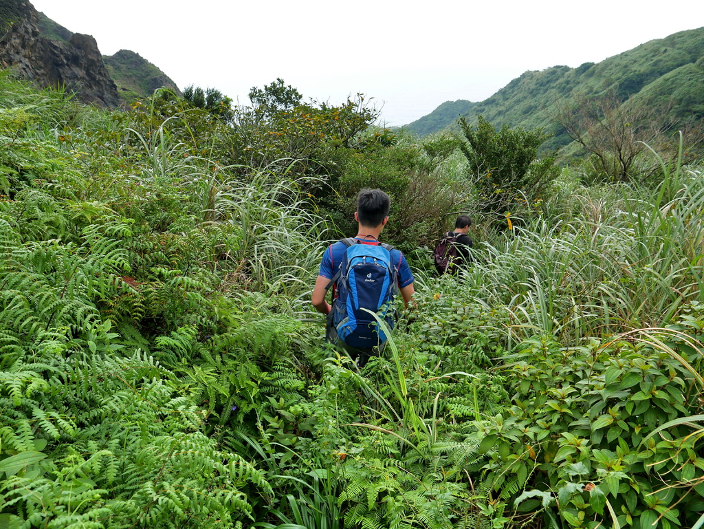 181006 [瑞芳] 劍龍稜、鋸齒稜、茶壺山稜、俯瞰稜O型