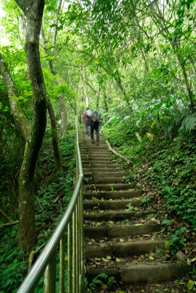 210410 [關西-龍潭] 雙石縱走：石牛山、石門山 8 