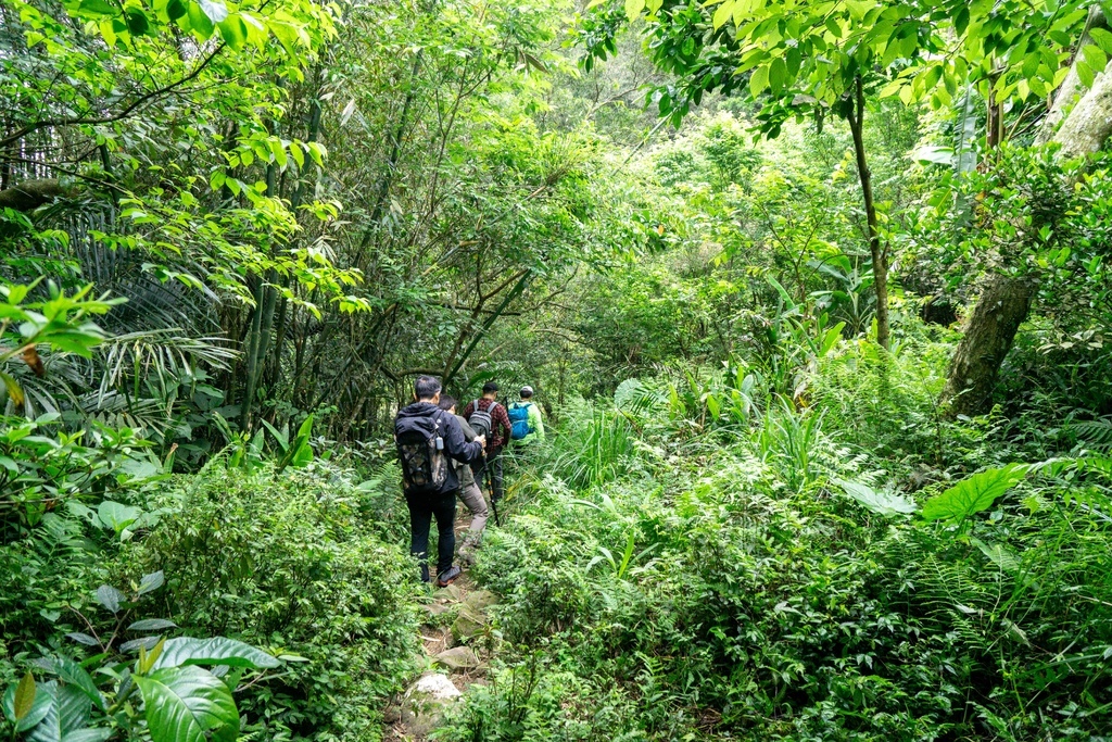 210410 [關西-龍潭] 雙石縱走：石牛山、石門山 8 