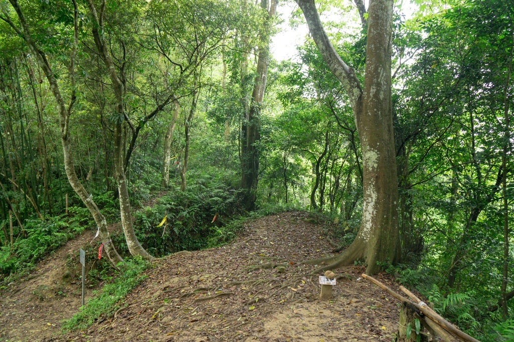 210410 [關西-龍潭] 雙石縱走：石牛山、石門山 8 