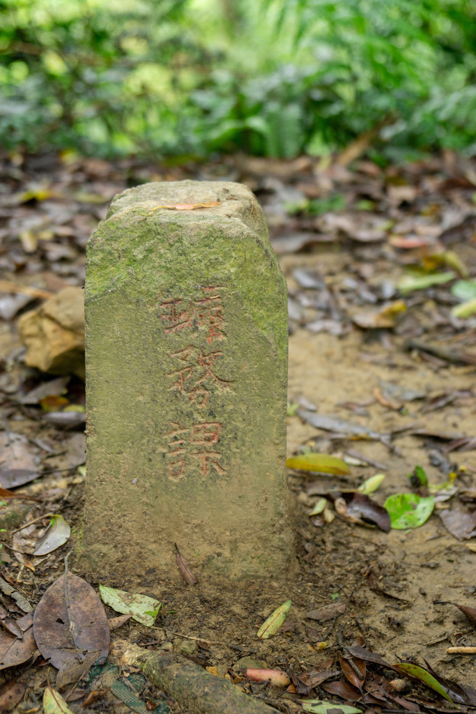 210410 [關西-龍潭] 雙石縱走：石牛山、石門山 8 