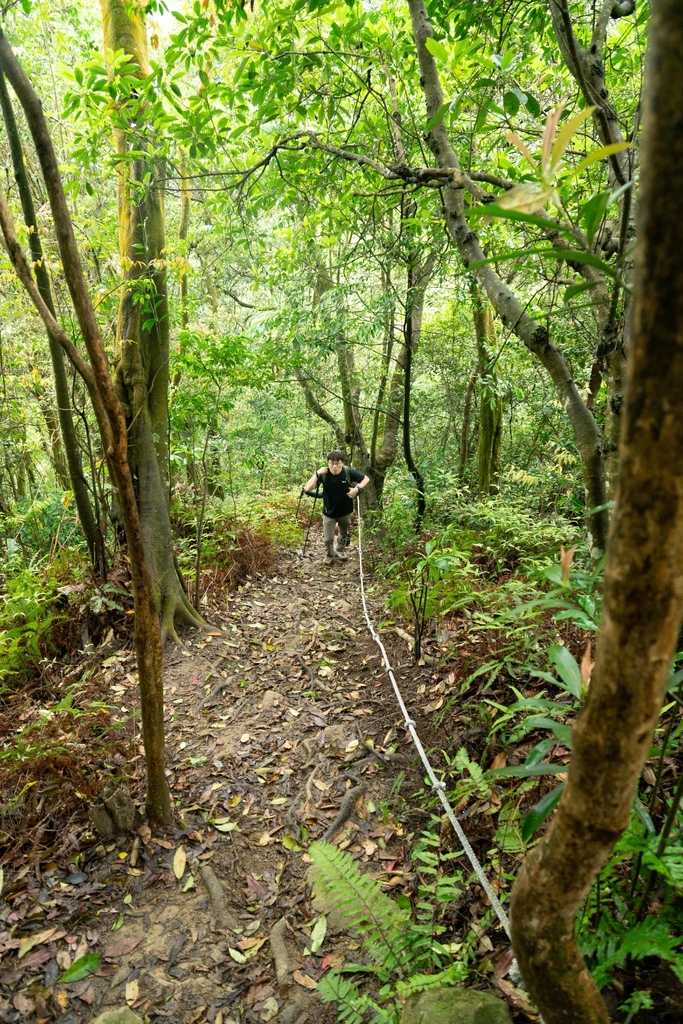 210410 [關西-龍潭] 雙石縱走：石牛山、石門山 8 