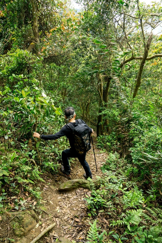 210410 [關西-龍潭] 雙石縱走：石牛山、石門山 8 