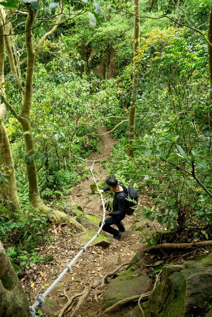 210410 [關西-龍潭] 雙石縱走：石牛山、石門山 8 