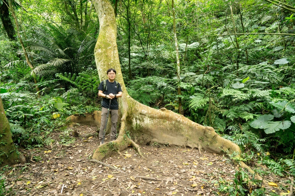 210410 [關西-龍潭] 雙石縱走：石牛山、石門山 8 