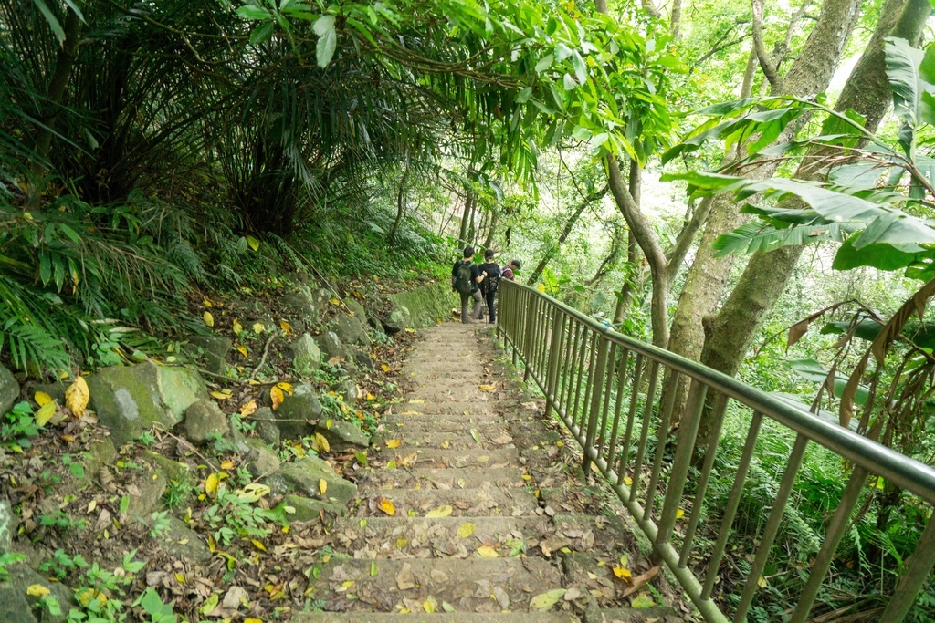 210410 [關西-龍潭] 雙石縱走：石牛山、石門山 8 