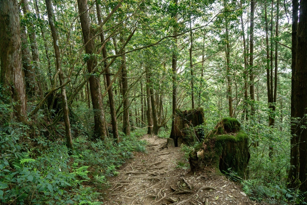 210502-03 [大同] 加羅湖、加羅山