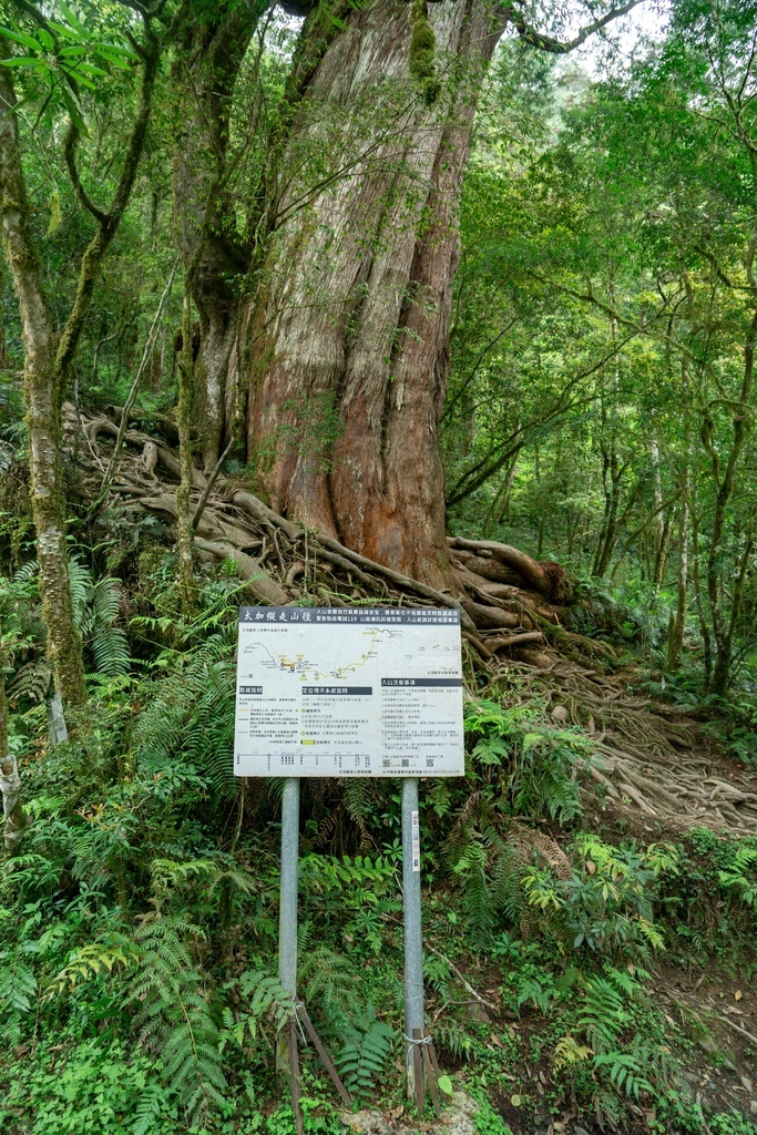 210502-03 [大同] 加羅湖、加羅山