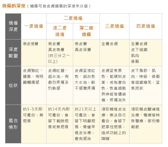 燒燙傷分級 燒燙傷分級