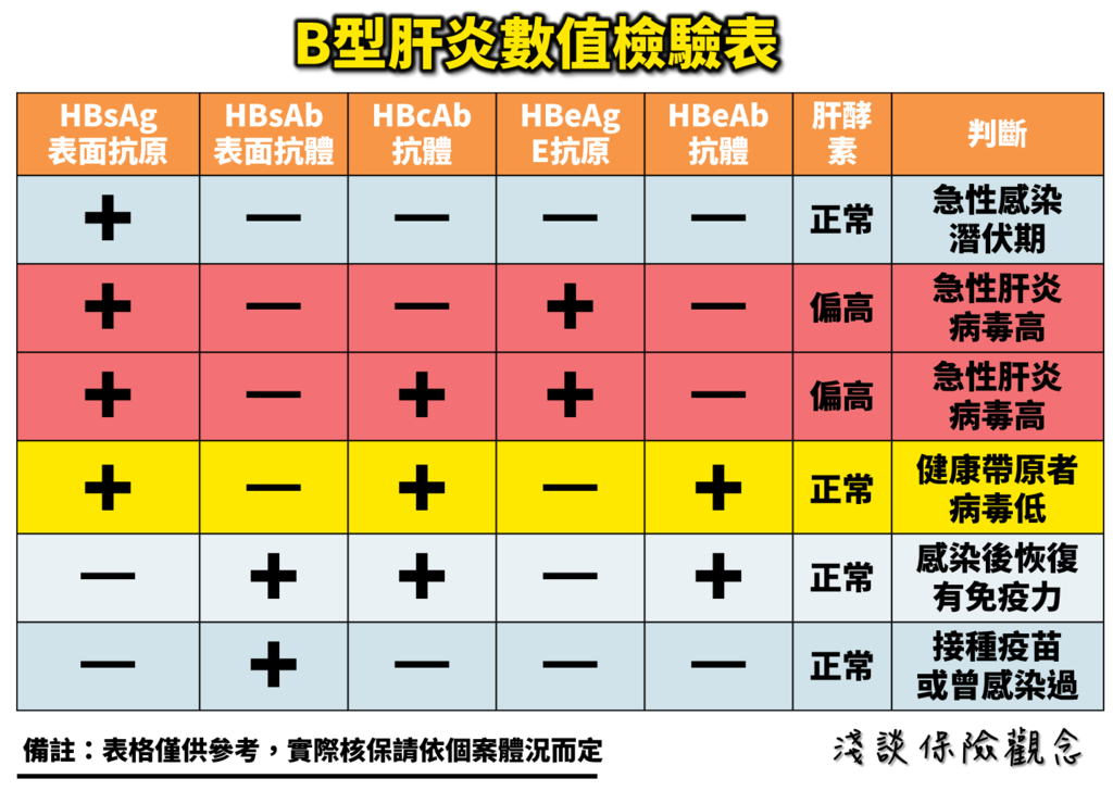 B型肝炎帶原 可以投保嗎 淺談保險觀念 痞客邦