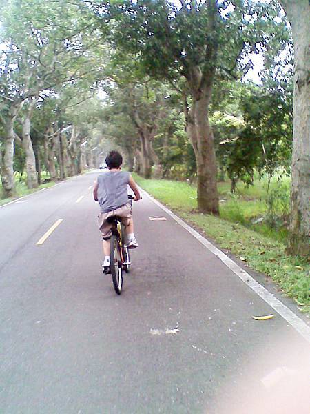 雲林腳踏車道