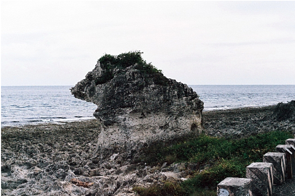 Image 006.png