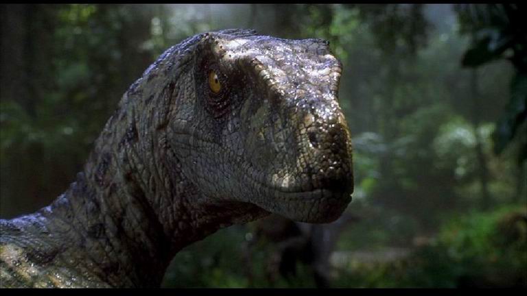 VELOCIRAPTOR-JURASSIC-PARK