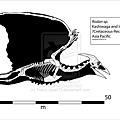 radon__rodan__skeleton_by_franz_josef73-d7kvdyk