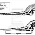 anguirus_skeleton_by_franz_josef73-d7kqa2o