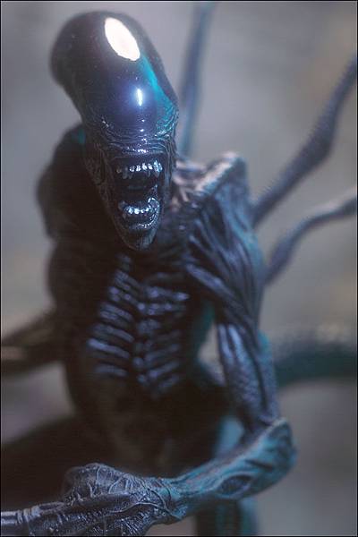 avp_battlealien_photo_01_dp