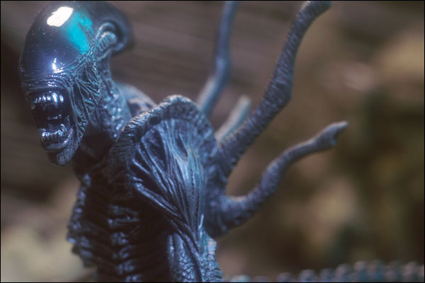 avp_battlealien_photo_03_dl