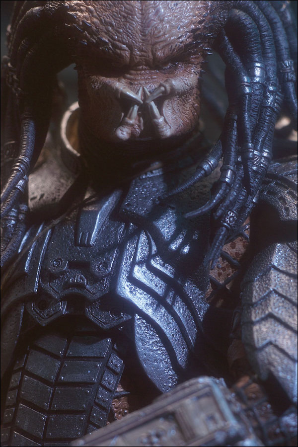avp_scarpred_photo_04_dp