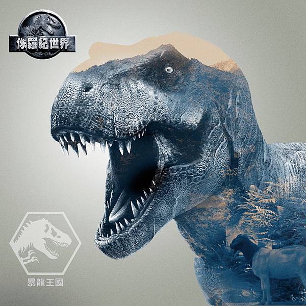 11329768_10152931981731947_8263153543202566149_n