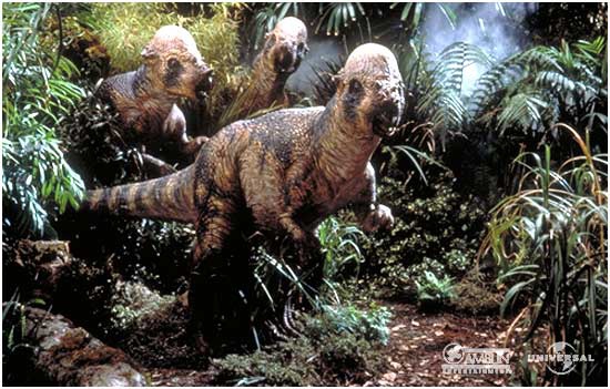 Pachycephalosaurus_group