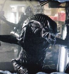 ...........Aliens-versus-Predator-2-Cover-DVD_jpg_fkga