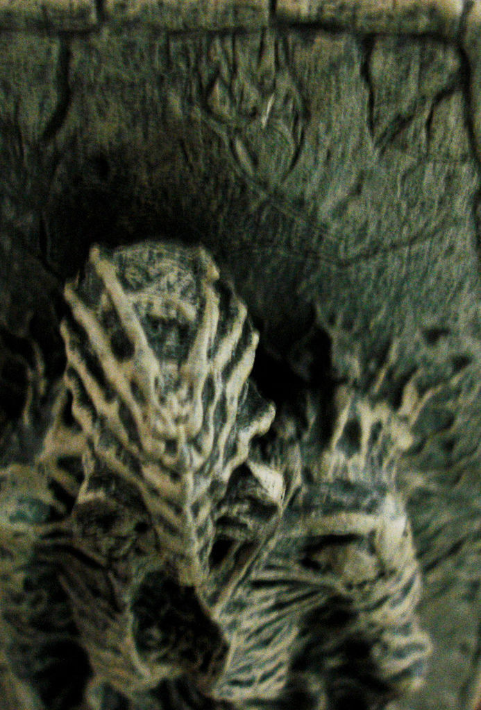 DSC09382.JPG