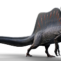 .............Spinosaurus_5(Spinosaurus- Dinopedia -Fandom；2021年9月13日).png