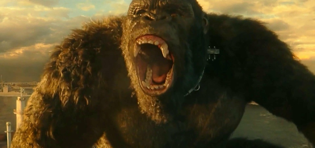 待............godzilla-vs-kong-1(Comic Con Experience)(New Godzilla vs Kong Tv Spot “Survive”)(金最佳照).jpg