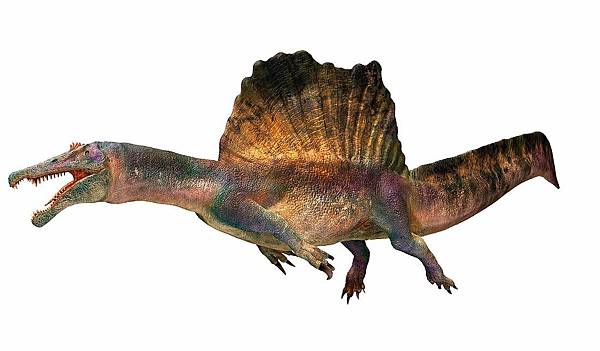 .........13426375-Spinosaurus-dinosaur-illustration(Spinosaurus dinosaur- illustration – Bild kaufen – 13426375- Science Photo Library).jpg