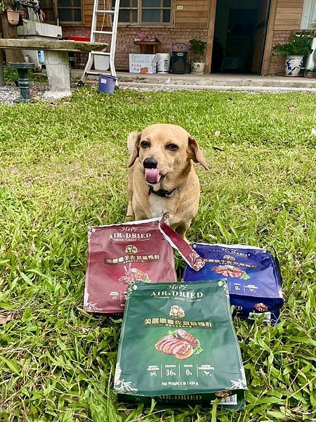 Herz赫緻美饌低溫風乾糧開箱—挑嘴犬最愛的原肉塊狗乾糧！