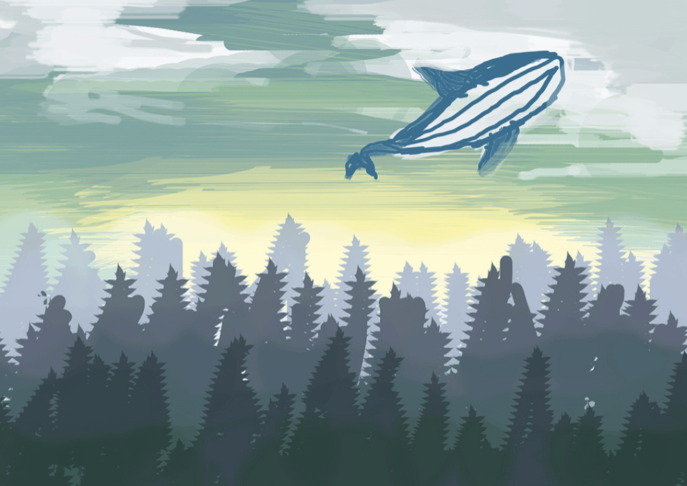 whale in the dawn light