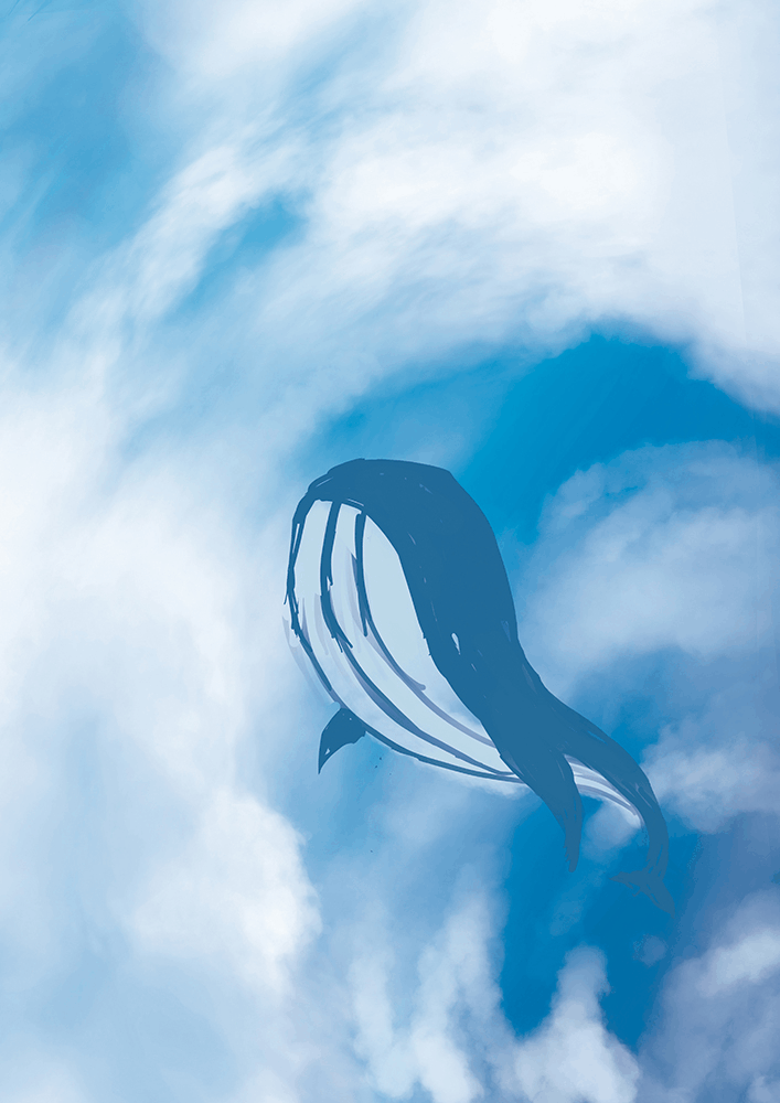 whale over the sky