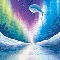 whale with northern light_process.gif