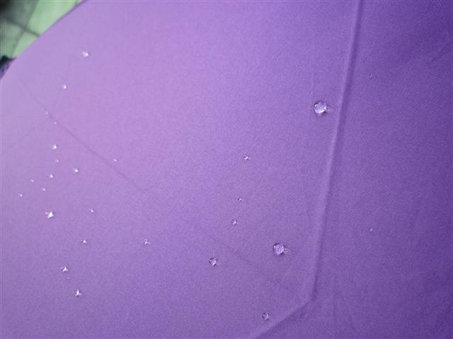 P1320957.JPG P1320957.JPG