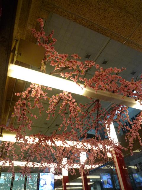 P1360360.JPG P1360360.JPG