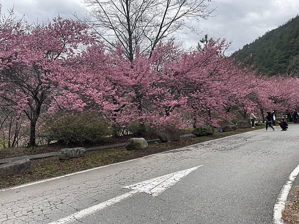 20220202武陵富野渡假村