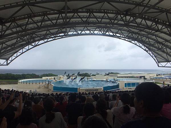 201989 美麗海水族館、古宇利塔、國際通_190811_0037.jpg