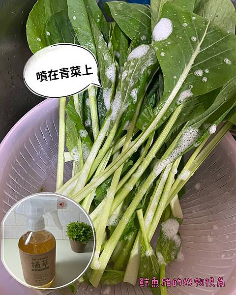 植萃酵素plus 8