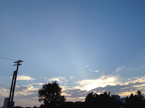 IMG_4658 IMG_4658