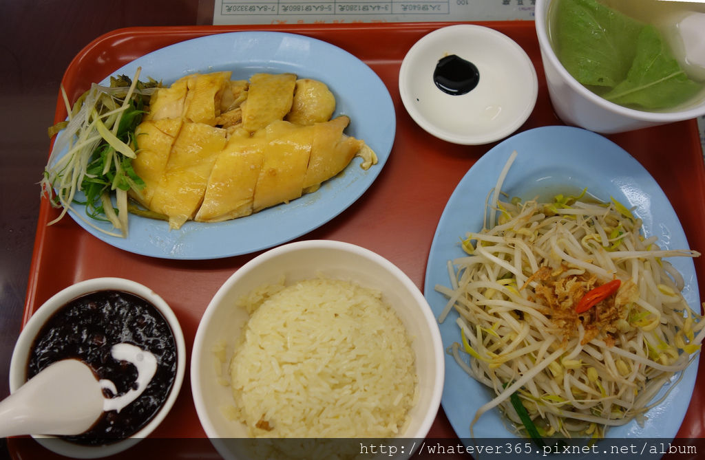 食 | 台北忠孝復興 新加坡文東記雞飯 文慶雞 → 海南雞肉套餐