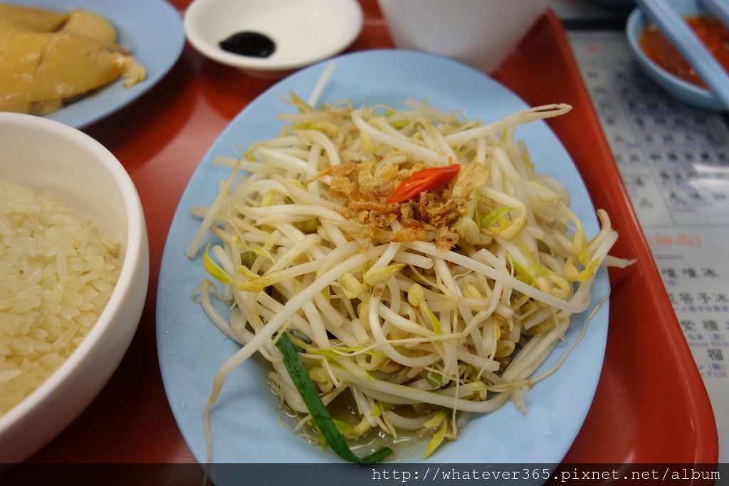 食 | 台北忠孝復興 新加坡文東記雞飯 文慶雞 → 海南雞肉套餐